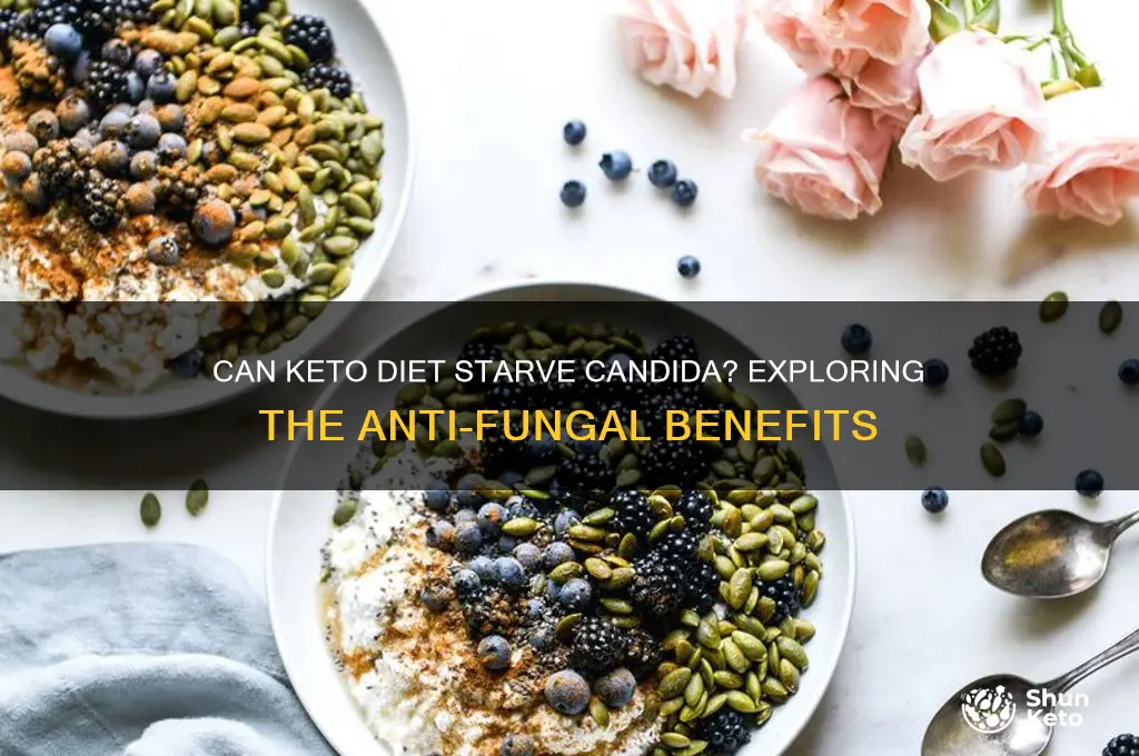 will keto diet starve candida