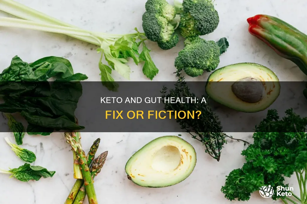 will keto fix gut health