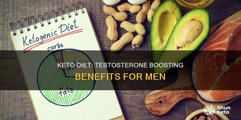 will keto increase testosterone