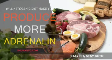 Ketogenic Diet: Does It Boost Adrenaline Production?