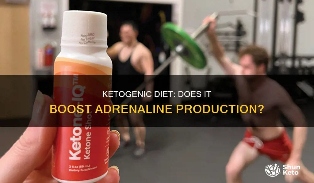 will ketogenic diet make you produce more adrenaline