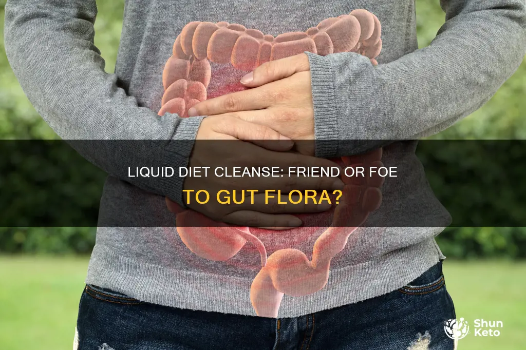 will liquid diet cleanse disturb gut flora