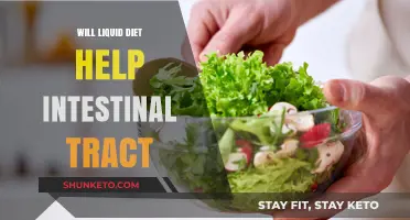 Liquid Diets: Friend or Foe to Your Intestinal Tract?