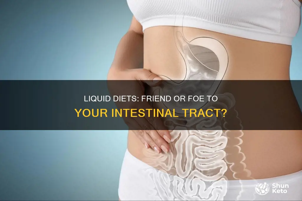 will liquid diet help intestinal tract
