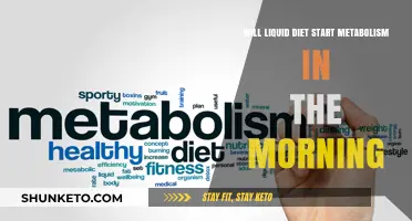 Morning Metabolism: Liquid Diets to Kickstart Your Day