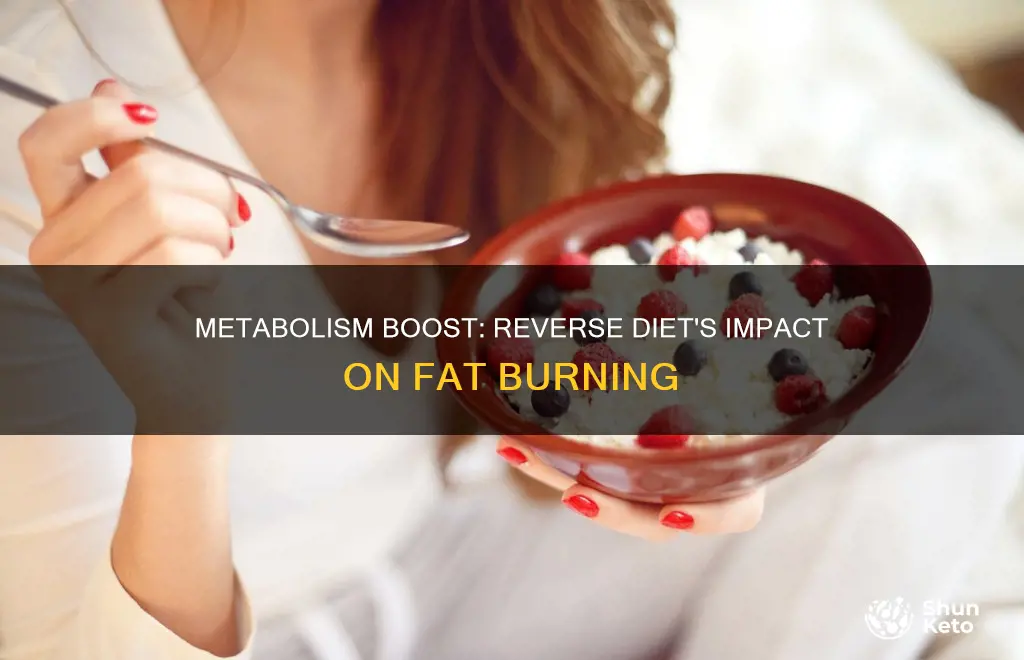 will metabolsim speed up on reverse diet