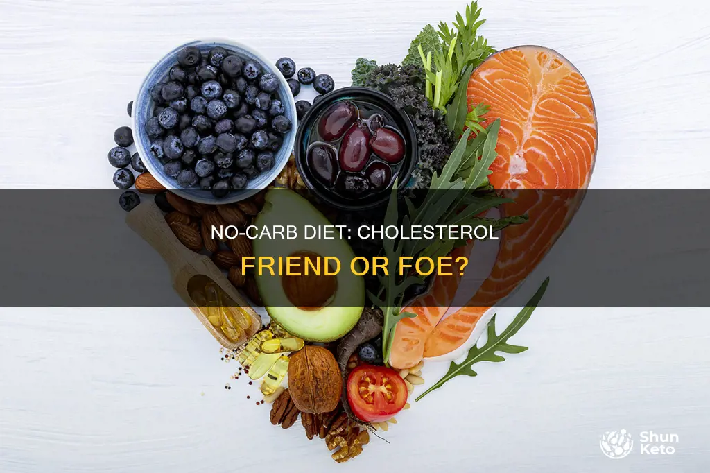 will no carb diet increase cholestrol