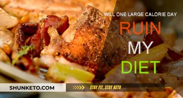 Calorie Counting: One Day Won't Derail Your Diet
