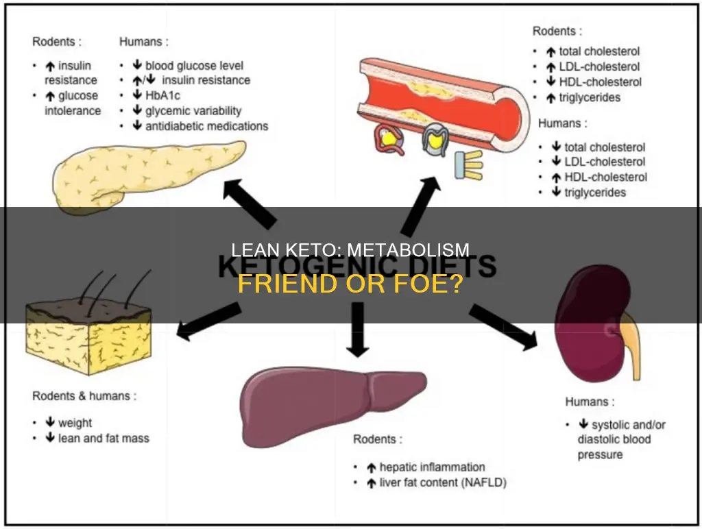 will overnight lean keto harm my metabolism