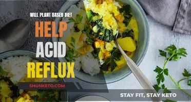 Plant-Based Diets: A Solution for Acid Reflux?