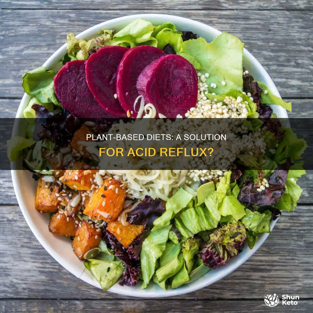 will plant based diet help acid reflux