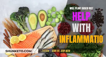 Plant-Based Diets: Reducing Inflammation, Improving Health