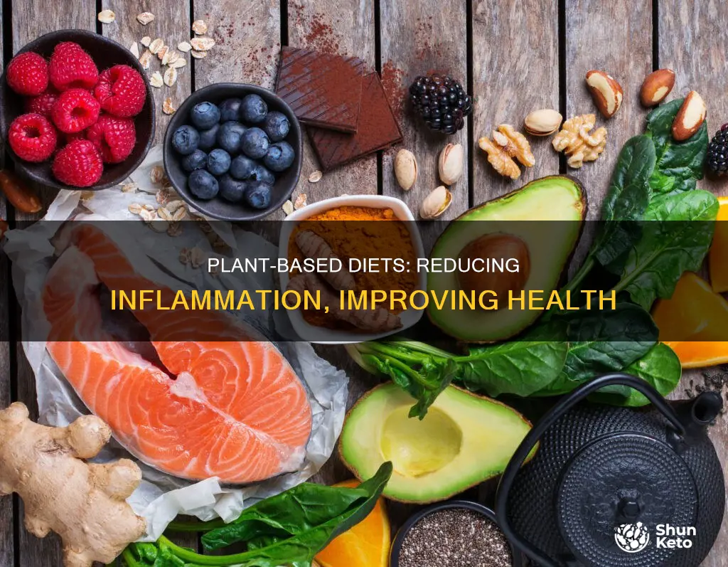 will plant based diet help with inflammation