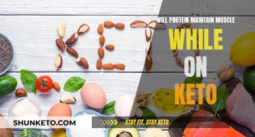 Protein's Role in Muscle Maintenance on Keto Diets