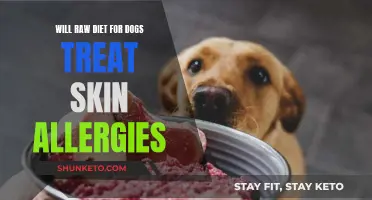 Raw Diet: A Cure for Canine Skin Allergies?