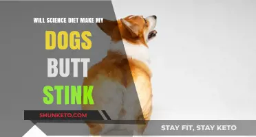 Science Diet: Can It Cause Stinky Dog Butts?