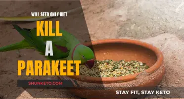 Can a Seed-Only Diet Cause Parakeet Death?