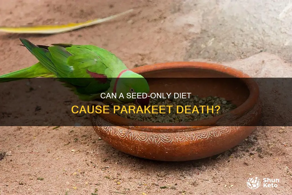 will seed only diet kill a parakeet