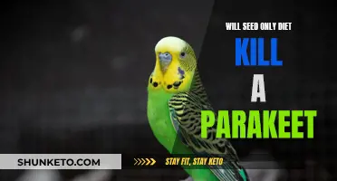 Parakeets and Seeds: A Lethal Diet?