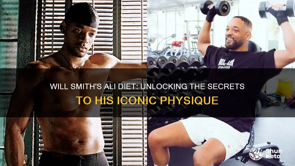 Will Smith's Ali Diet: Unlocking The Secrets To His Iconic Physique ...