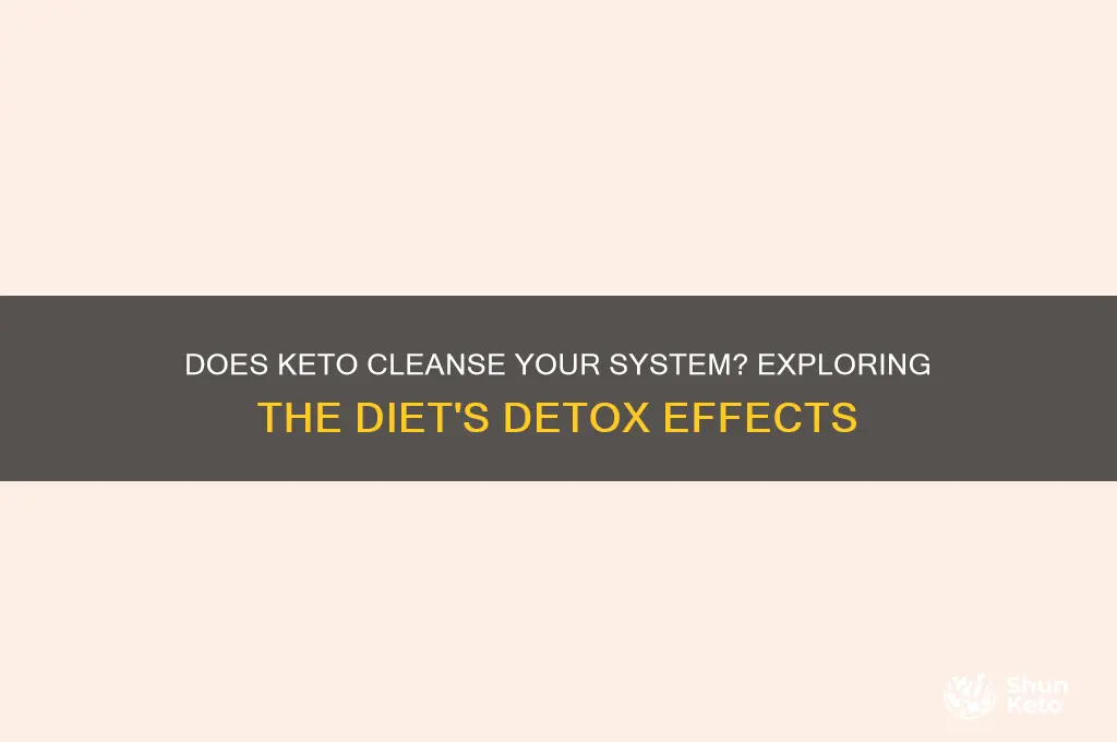 will starting a keto diet clean you out
