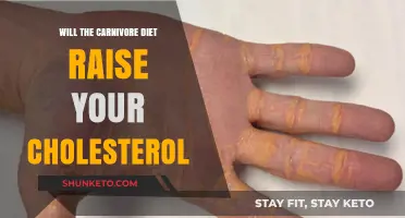 Meat-Based Diets: Do They Increase Cholesterol?