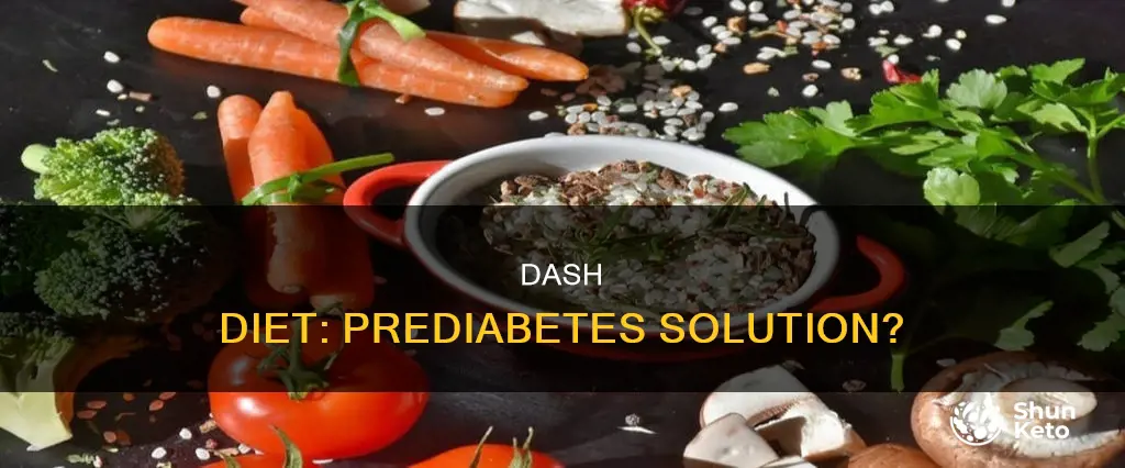 will the dash diet help prediabetes