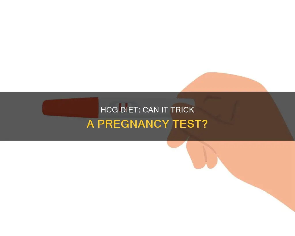 will the hcg diet give you a positive pregnancy test