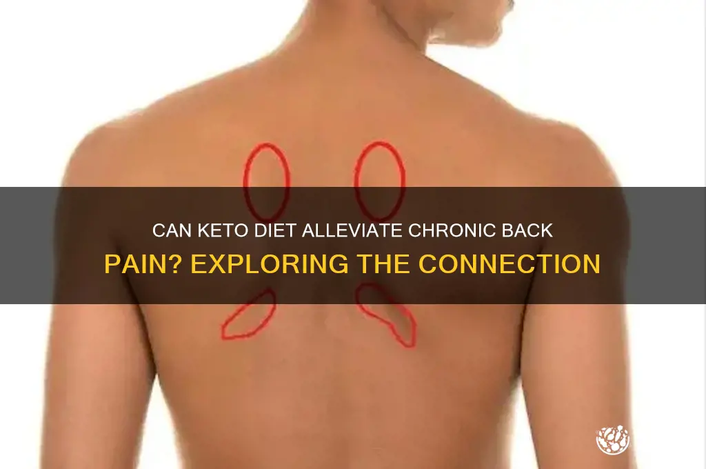 will the keto diet reduce my back pain