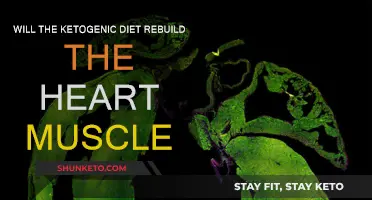 Can Ketogenic Dieting Repair Heart Muscles?