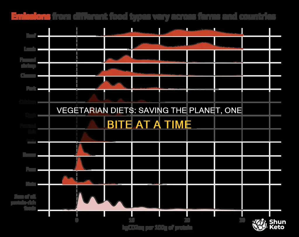 will transitioning to a vegetarian diet save the environment