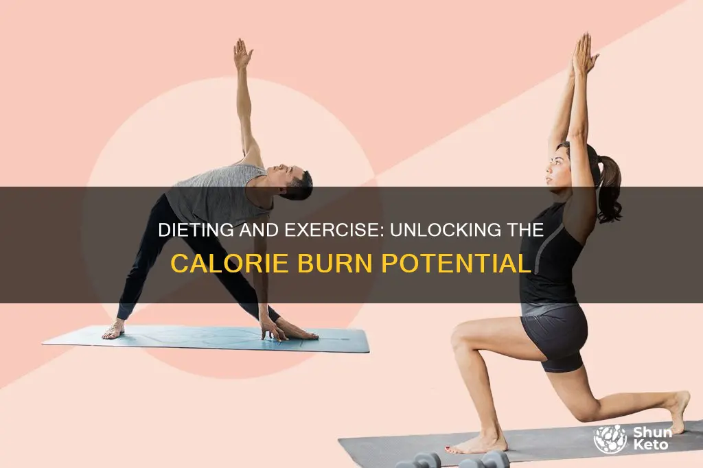 will you burn more calories if you diet and exercise