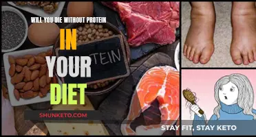 Protein-Free Diets: A Death Sentence?