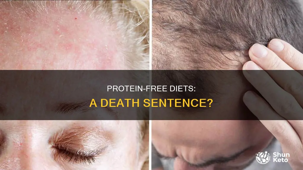 will you die without protein in your diet