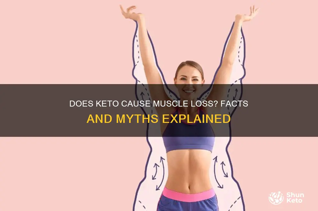 will you lise myscle on the keto diet