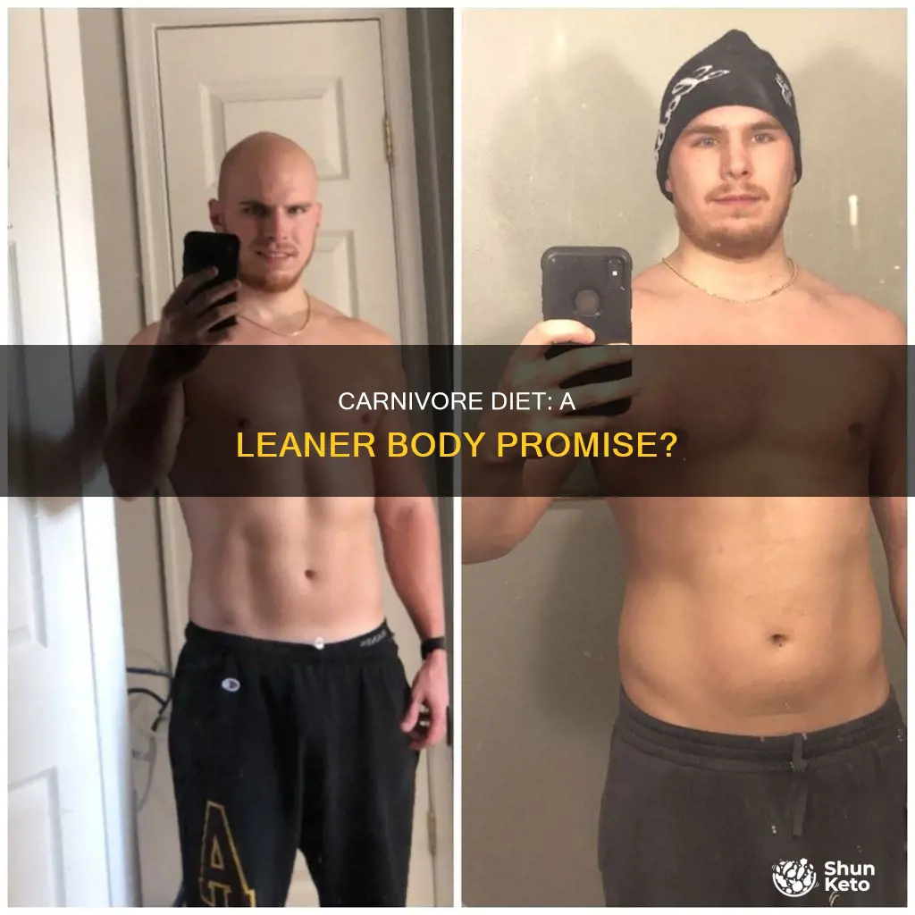 will you look leaner on carnivore diet