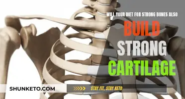 Diet for Bones: Can the Same Foods Strengthen Cartilage, Too?