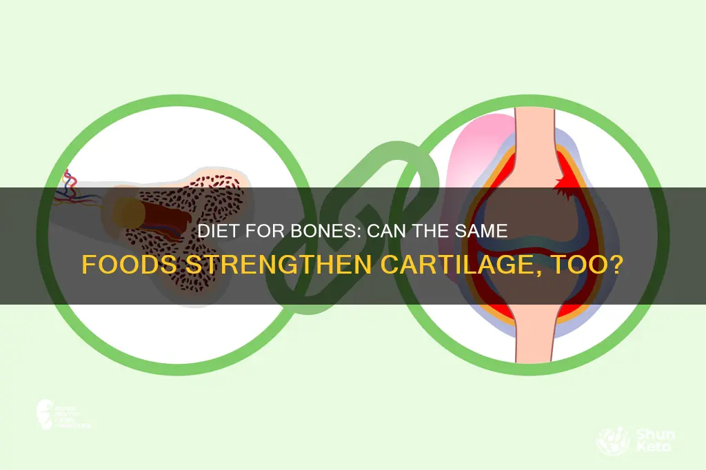 will your diet for strong bones also build strong cartilage