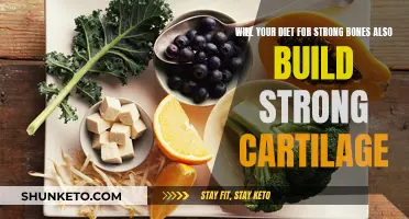 Strong Bones, Strong Cartilage: What's the Diet Connection?