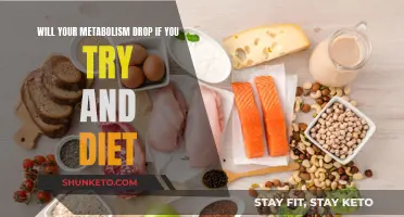 Metabolism and Dieting: What's the Real Connection?