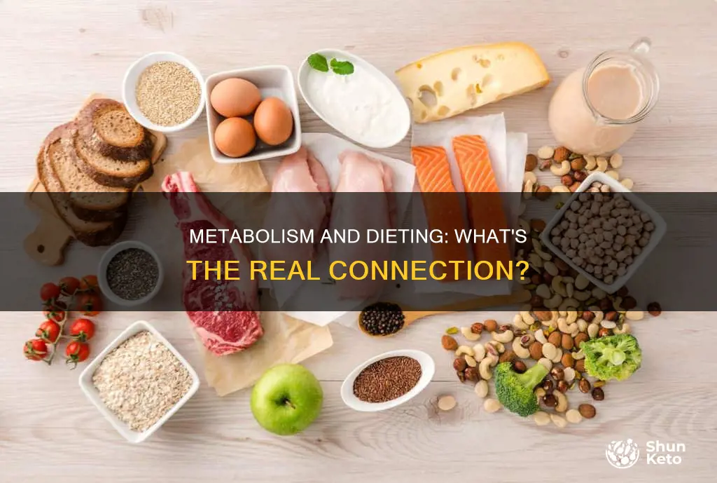 will your metabolism drop if you try and diet