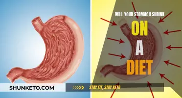Stomach Shrinkage: Dieting and Appetite Suppression Explained