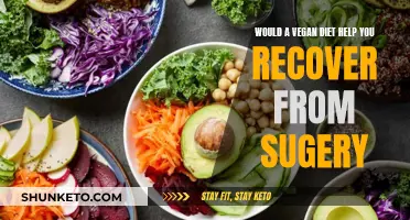 Vegan Diet: Surgery Recovery Friend or Foe?