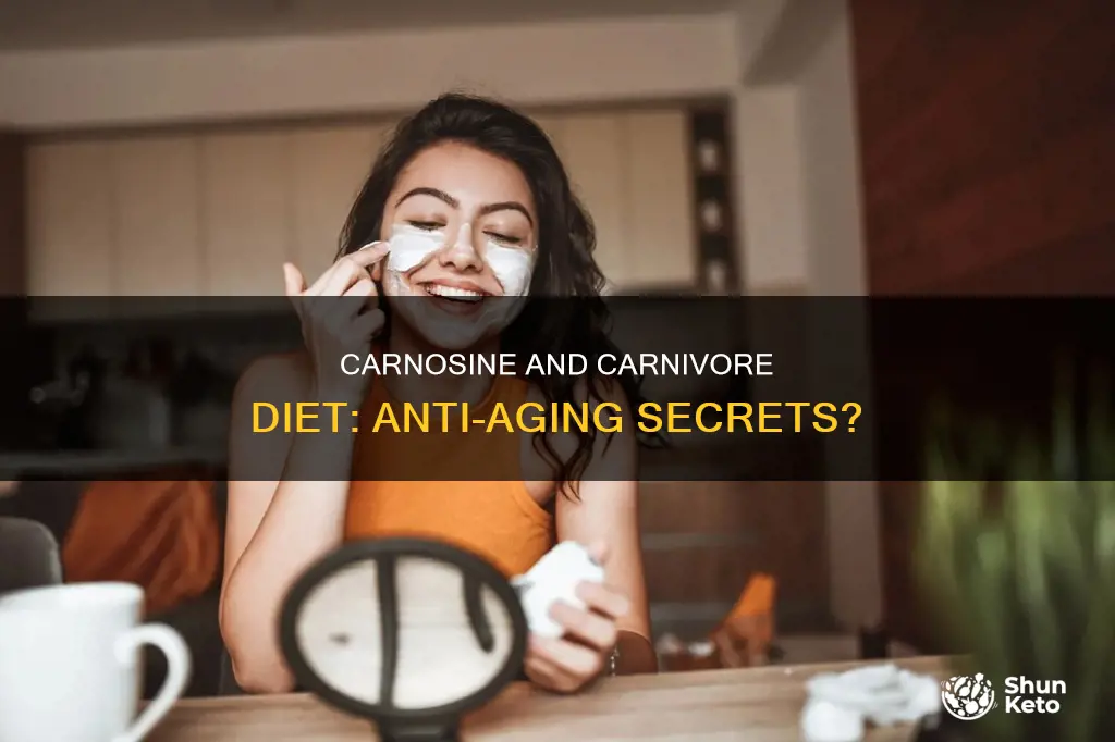 would carnosine or a carnivorous diet help suppress aging