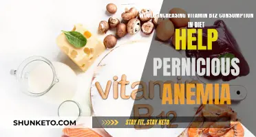 B12 and Pernicious Anemia: A Dietary Solution?
