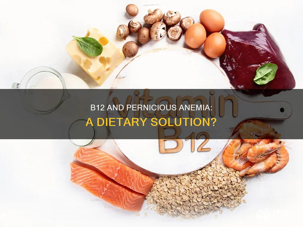 would increasing vitamin b12 consumption in diet help pernicious anemia