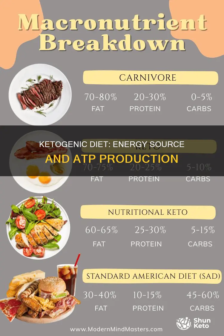 would the ketogenic diet change the way you make atp