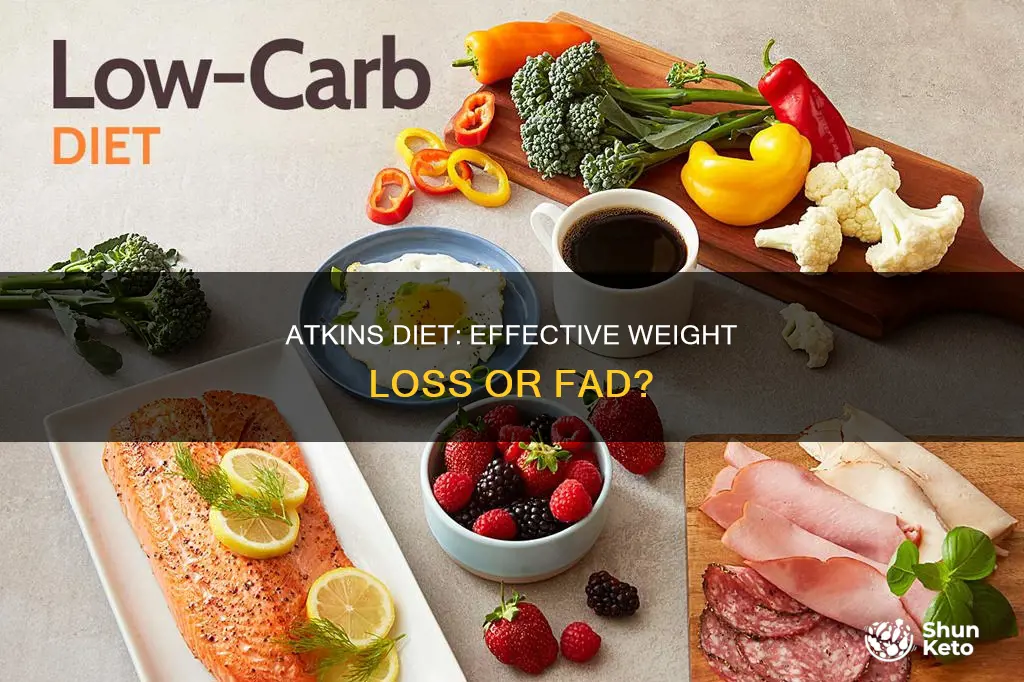 would you recmmend the atkins diet or try to diet